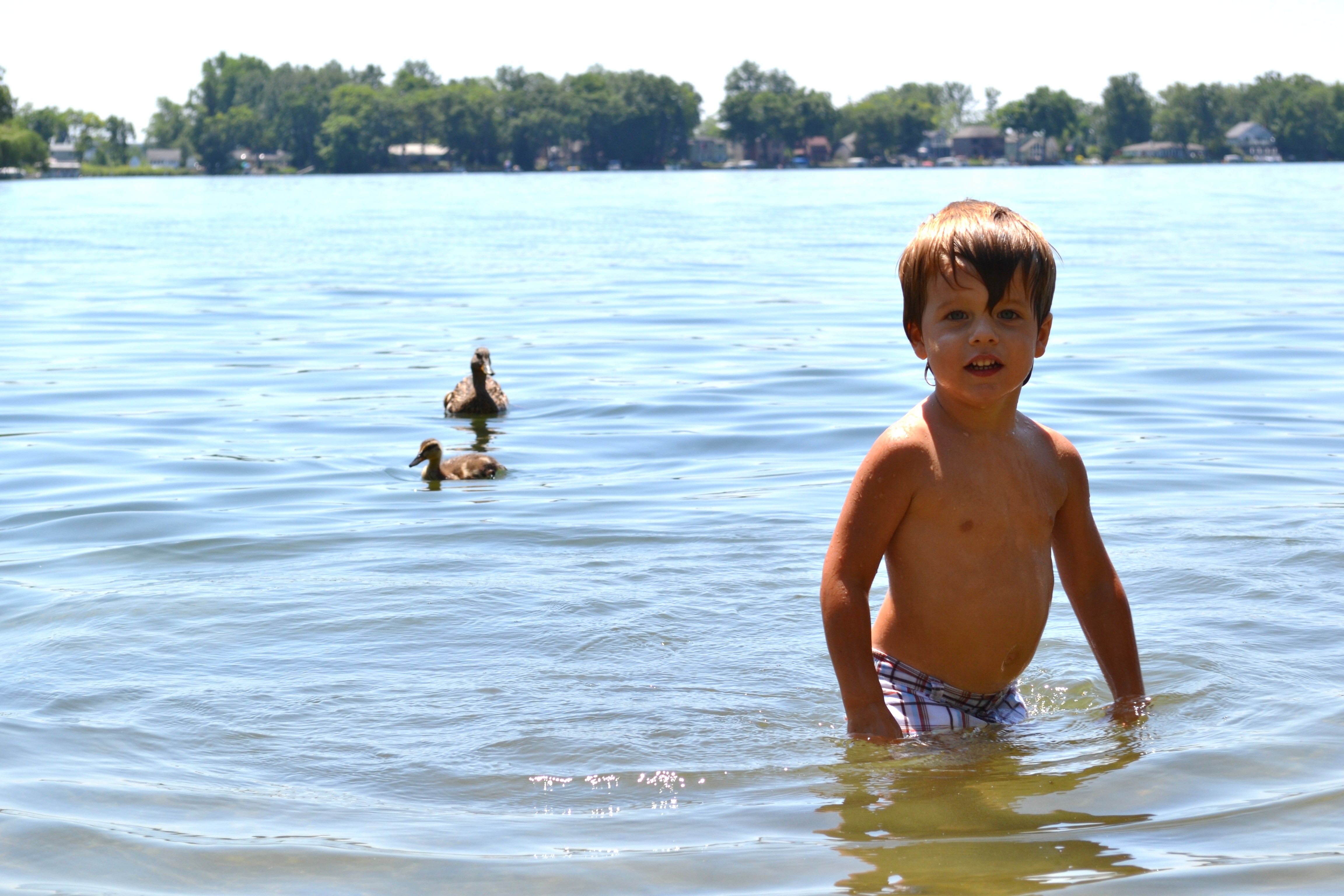 Infant Swimming Resource Reviews for February James